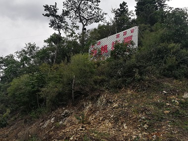 栗栗家有机板栗基地